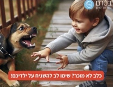 פוסט בטיחות ילדים וכלבים
